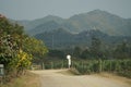 Live-painting fields of vineyards in the mountains of Thailand