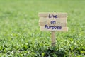 Live on purpose Royalty Free Stock Photo