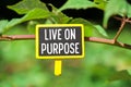 Live on purpose on board Royalty Free Stock Photo