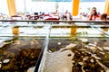 Fresh seafood for sale inside of divided aquarium in a restaurant