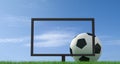 Live soccer on full hd lcd tv