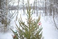 Live spruce decorated with Christmas glass balls in retro style on the background of a snowy forest.