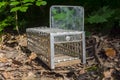 Live trap for catching mouse on the forest ground