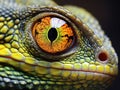 Live wild reptiles lizards shot