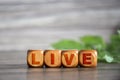 Live. Word on the cubes Live. Conceptually. Letters on wooden cubes