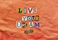 Live your Dream paper cut letters on abstract  gouache  paint texture on canvas with embossed , orange coral paint strokes. Hand Royalty Free Stock Photo