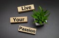 Live your passion words written on wooden blocks with copyspace. live your dream predestination self motivation coaching Royalty Free Stock Photo