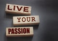 Live your passion words written on wooden blocks. live your dream predestination self motivation coaching concept Royalty Free Stock Photo