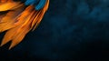 A lively blue and orange feather on a dark backdrop, capturing the essence of nature's charm. Royalty Free Stock Photo