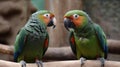 Chatty parrots squawking and chatting with each other created with Generative AI