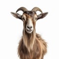 Lively Goat In Dadaist Photomontage: Hyper-realistic And Humorous Uhd Image