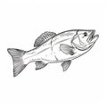 Lively Illustration Of A Black And White Largemouth Bass Fish Royalty Free Stock Photo