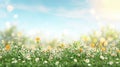 Lively spring flower meadow under blue sky with copy space, blurred background for text placement. Royalty Free Stock Photo