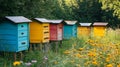 Lively summer apiary featuring an array of colorful beehives nestled in a tranquil farm garden Royalty Free Stock Photo