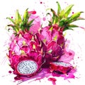 A lively watercolor painting of dragon fruit with a half-sliced piece