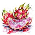 A lively watercolor painting of dragon fruit with a half-sliced piece