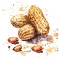 A lively watercolor rendering of peanuts with a splash of color