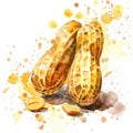 A lively watercolor rendering of peanuts with a splash of color