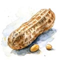 A lively watercolor rendering of peanuts with a splash of color