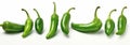Fresh and Colorful Green Chile Peppers - Isolated and Ready to Enjoy!