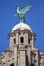 Liver Bird Perched on the Royal Liver Building Royalty Free Stock Photo