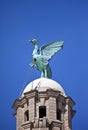 Liver Bird Perched on the Royal Liver Building Royalty Free Stock Photo