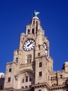 Liver building clock tower Royalty Free Stock Photo