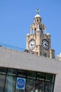 The Liver Building Clock Tower, Liverpool. Royalty Free Stock Photo