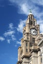 Liver building Liverpool Royalty Free Stock Photo