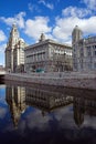 Liver Building and new canal, Liverpool, England Royalty Free Stock Photo