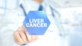 Liver Cancer, Doctor working on holographic interface, Motion Graphics Royalty Free Stock Photo