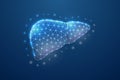 Liver 3d symbol in blue low poly style. Hepatitis, human transplantation design concept illustration. Organ anatomy