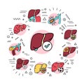 Liver diseases web banner. Infographics with linear icons