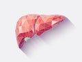 Liver faceted Royalty Free Stock Photo