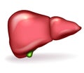 Liver