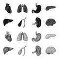 Liver, gallbladder, kidney, brain. Human organs set collection icons in black,monochrome style vector symbol stock