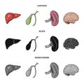 Liver, gallbladder, kidney, brain. Human organs set collection icons in cartoon,black,monochrome style vector symbol