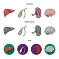 Liver, gallbladder, kidney, brain. Human organs set collection icons in cartoon,flat,monochrome style vector symbol