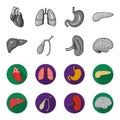 Liver, gallbladder, kidney, brain. Human organs set collection icons in monochrome,flat style vector symbol stock