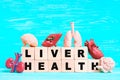 Liver Health Concept with Wooden Blocks and Organ Models Royalty Free Stock Photo