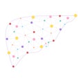 Liver health low poly wireframe. Polygonal anatomic model of human liver made of stars, lines, dots, triangles. Medical and
