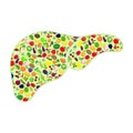 Liver healthy silhouette