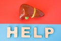 Liver with Help word. Anatomical model of liver and gallbladder is on red background, below letters that make word Help on blue ba