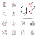 liver herpetology colored line icon. Medical icons universal set for web and mobile