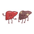 Liver Human Internal Organ Healthy Vs Unhealthy, Medical Anatomic Funny Cartoon Character Pair In Comparison Happy