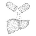 Liver is a human organ and substance from pill capsule from abstract futuristic polygonal black lines and dots. Vector