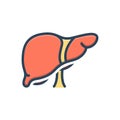 Color illustration icon for Liver, gastroenterology and glandular