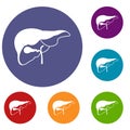 Liver icons set