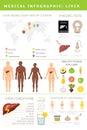 Liver infographic