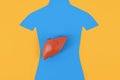 Liver organ model on person shaped silhouette